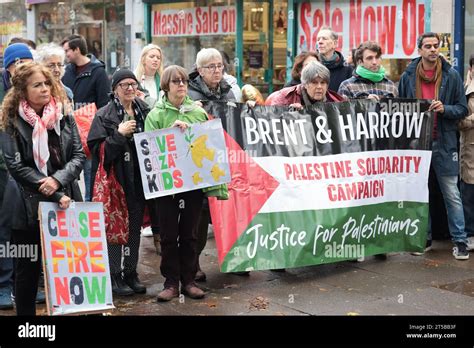 Londra Regno Unito Novembre I Manifestanti Si Riuniscono A