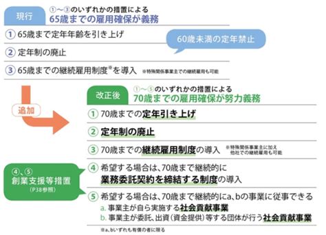 高齢者の「働き方」が変わる「高年齢者雇用安定法」改正「概要」「Ⅰ」 ナイスシニアチャンネル