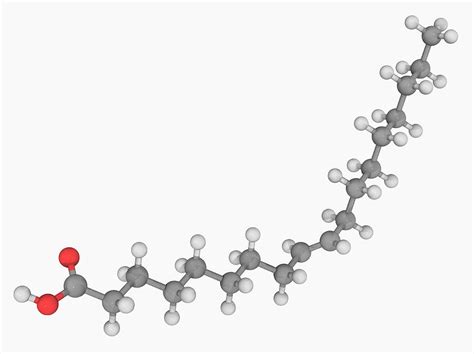 Elaidic Acid Molecule By Laguna Design Science Photo Library