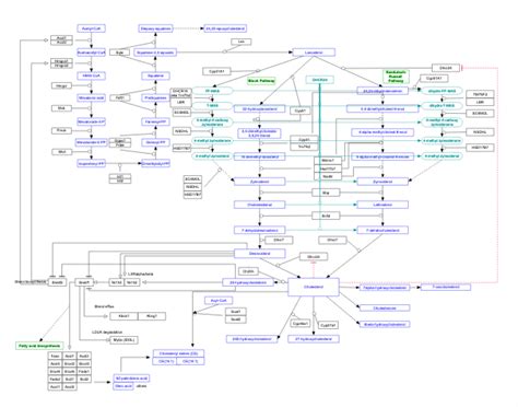 LIPID MAPS