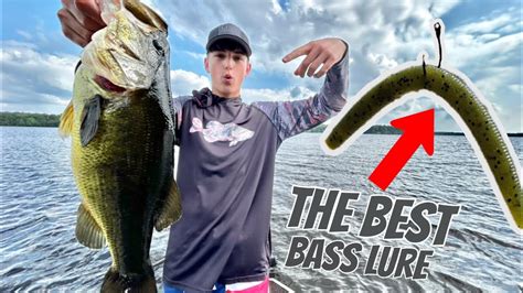 Fishing For Giant Bass With The Wacky Rig Youtube