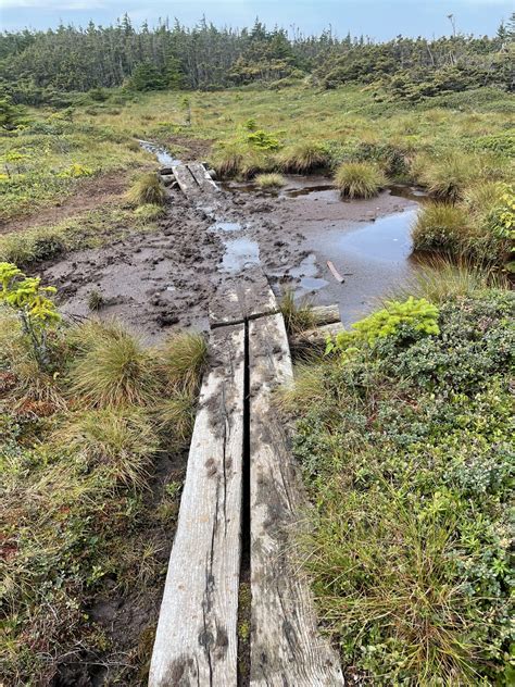 Mountain Creek Mud Bog Alabama