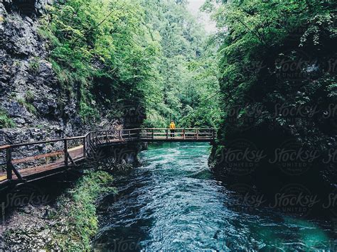 "Travel Man On Bridge Over Beautiful Forest River" by Stocksy ...