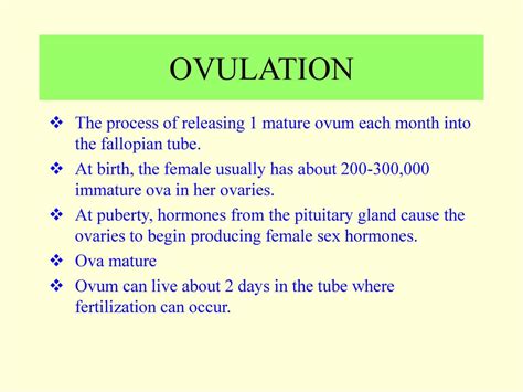 Female Reproductive System Ppt Download