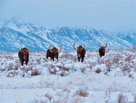 Prideline - Are you taking a flight but don't want to leave your car