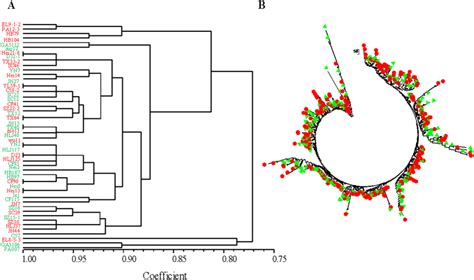 Population Genetic Analysis Reveals Cryptic Sex In The Phytopathogenic