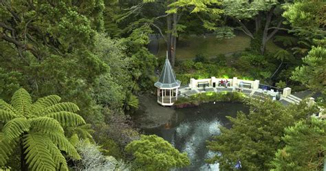 Wellington Botanic Garden | Wellington, New Zealand