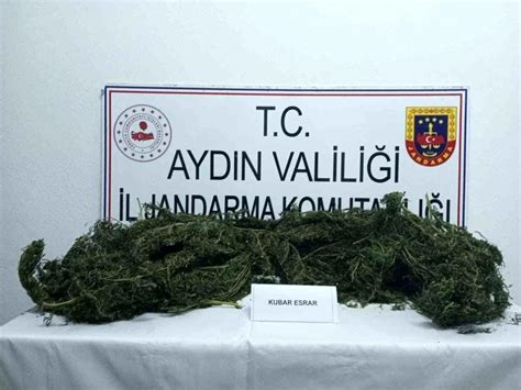 Aydın da 10 Kilo Kubar Esrarla Yakalanan Şüpheli Tutuklandı Son Dakika