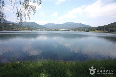 제천시 가볼만한곳 여행 관광지 베스트 10 숨은 명소 여행 돼지