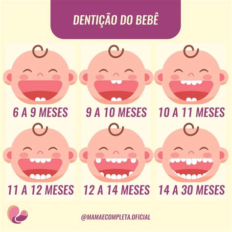 quantos dentes uma crianca tem edulearn