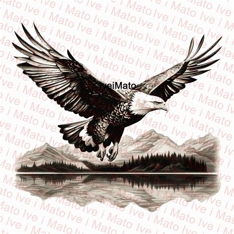 Bald Eagle Laser Engraving Png Digital Design Xtool Glowforge Lightburn