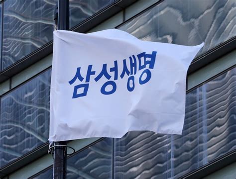 [단독] 아난티 땅 수백억 비싸게 산 삼성생명 대표이사도 수사 중앙일보