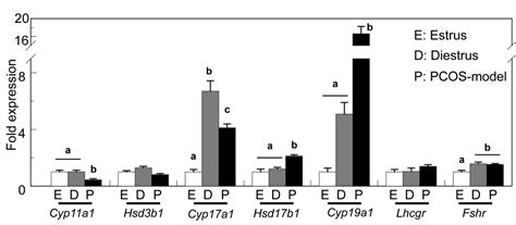 The Involvement Of Granulosa Cells In The Regulation By Gonadotropins