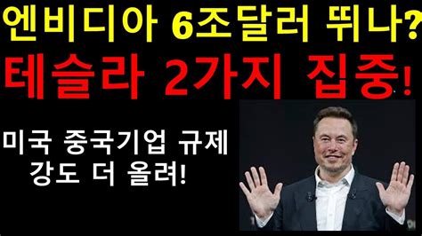 엔비디아 시총 6조달러 가나 테슬라 2가지 집중하는것 테슬라 상승 에너지가 점점 쌓여간다 엔비디아 역사상 가장 중요한 실적