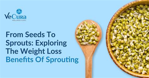 5 Benefits of Sprouts For Weight Loss - Vecura wellness