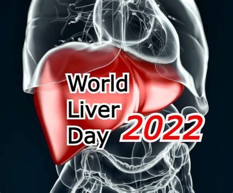 World Liver Day 2022 6 Tips One Should Follow To Keep Liver Healthy