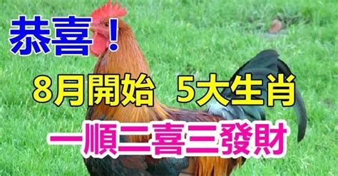 運勢爆棚！8月開始「一順二喜三發財」的5大生肖 「橫財大獎飛過」好日子蒸蒸日上有你嘛