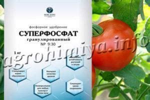 Суперфосфат: применение удобрения для рассады, томатов