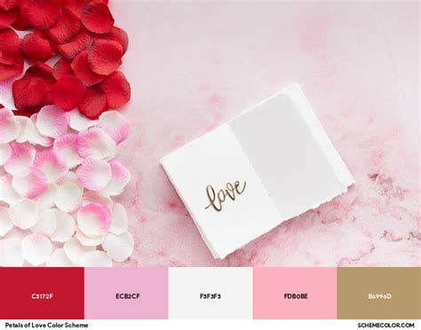 petals  love color scheme image color palettes schemecolorcom