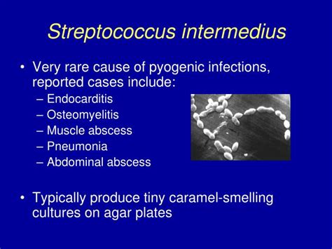 Streptococcus Vaginal Infection Ncee