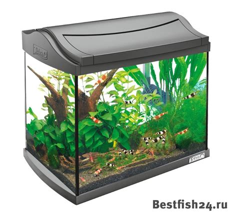 Низкая цена! Купить 1т) Аквариум для креветок AquaArt Shrimps Discover ...