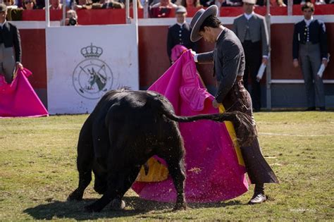 Inolvidable Jornada Taurina En El Festival Toros En Pineda Real