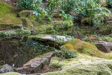 功山寺 苔庭の美しい寺院（山口県下関市） 庭園ガイド