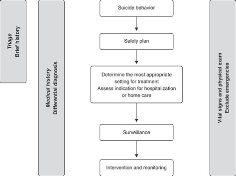 Scielo Brasil Brazilian Psychiatric Association Guidelines For The