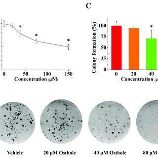 Osthole Inhibited Breast Cancer Cell Viability And Proliferation A