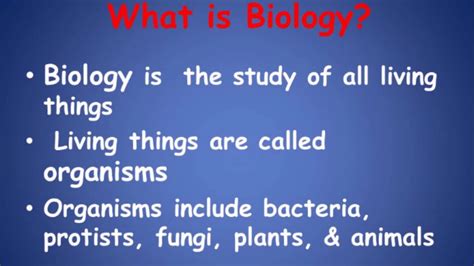 What Does Ase Mean In Biology