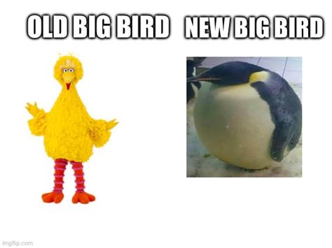 Image Tagged In Im The Biggest Birdmemes Imgflip