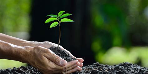 Ambipar Universo Ambipar A líder em gestão ambiental