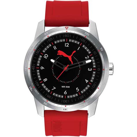 Venta > stainless steel back puma > en stock