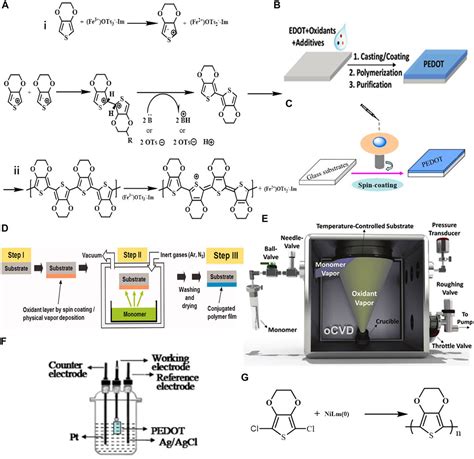 Frontiers Progress In Synthesis Of Conductive Polymer Poly34