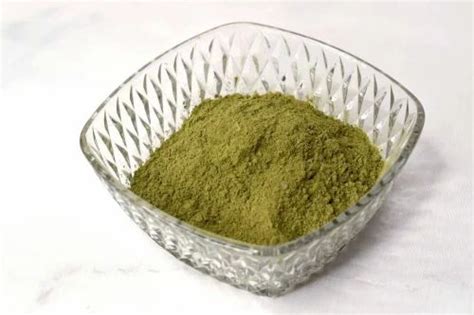 Andrographis Extract Powder at Rs 2500/kg | Andrographis Extract in ...
