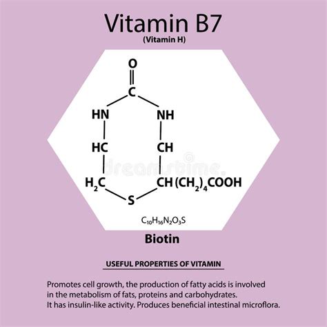 Vitamina B F Rmula Qu Mica Molecular De La Biotina Propiedades Tiles