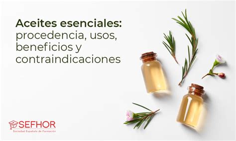 Aceites Esenciales Tipos Usos Y Beneficios Sefhor