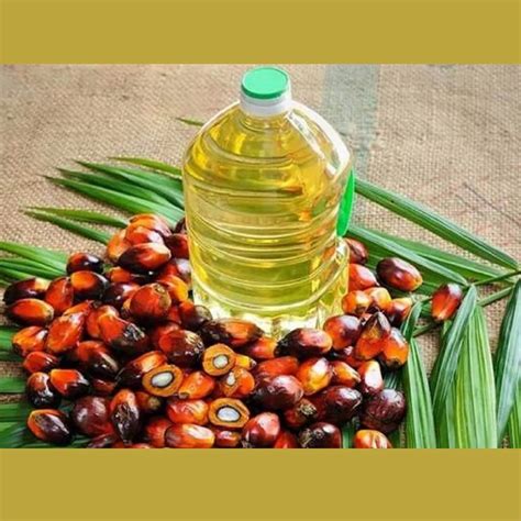 Red Palm Oil Refined Palm Oil Palm Kernel Oil For Sale Palm Oil