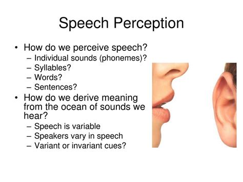 Ppt Chapter 10 Perception Of Speech Powerpoint Presentation Free