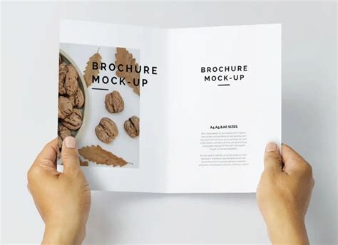 Download Free A4 Paper Bi Fold Brochure Psd Mockup Free Psd Mockups