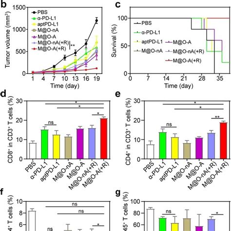 In Vivo Antitumor Activity Of Mo‐a A Schematic Representation Of The