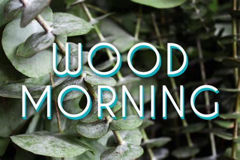 Wood Morning La Nueva Sección De Creatividad Sostenible