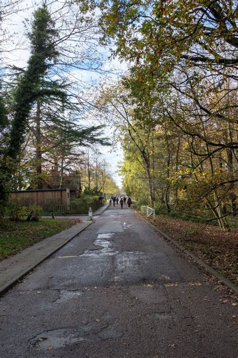 People Commuting In Trent Park Uk Editorial Image Image Of Woodland