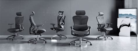 The Best Ergonomic Office Chairs In 2024 Gadget Advisor