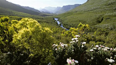 Kogelberg Nature Reserve | | Attractions - Lonely Planet