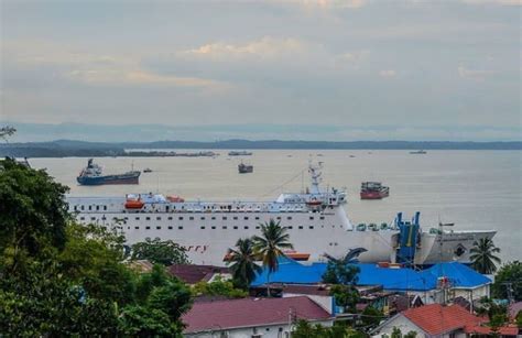 Walhi Tuding Ada Perampasan Ruang Laut Dalam Pembangunan Ikn Kabar Sdgs