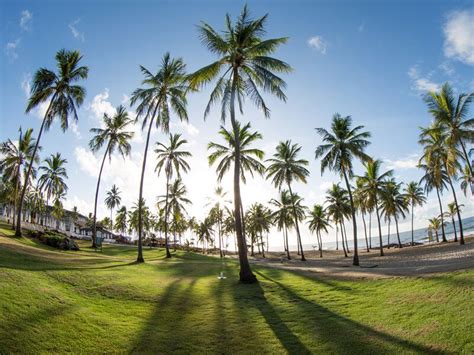 Confira As 6 Praias Mais Bonitas Da Bahia