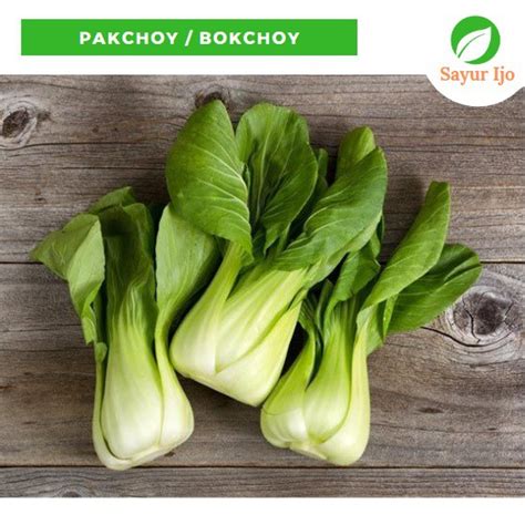 Jual Pakchoy 230 250 Gram Fresh Bok Coy Pakcoy Sawi Bokchoy Sayur