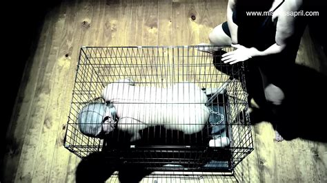 Free Mistress April Toilet Porn Videos Mistressapril XHamster