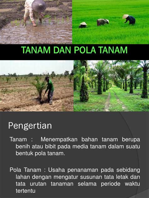 9 Tanam Dan Pola Tanam 1 Pdf